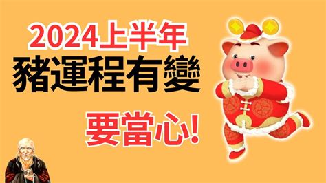 属猪运势运程,属猪2024年运势